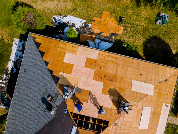 Best Metal Roofing Contractor  in Tusculum, TN