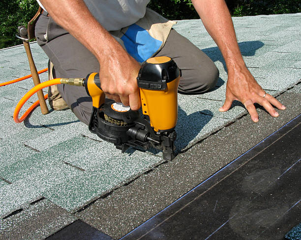 Best Roof Gutter Cleaning  in Tusculum, TN